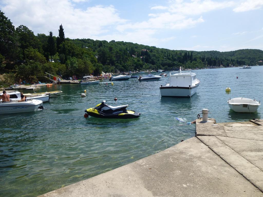 Apartments Villa Rosmarin Omišalj Eksteriør billede